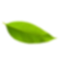 leaf2