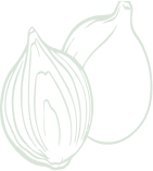 onion-bg